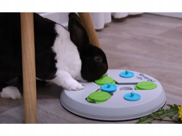 TRIXIE Flip Board Slide & Fun interaktywna gra logiczna dla królika i gryzoni