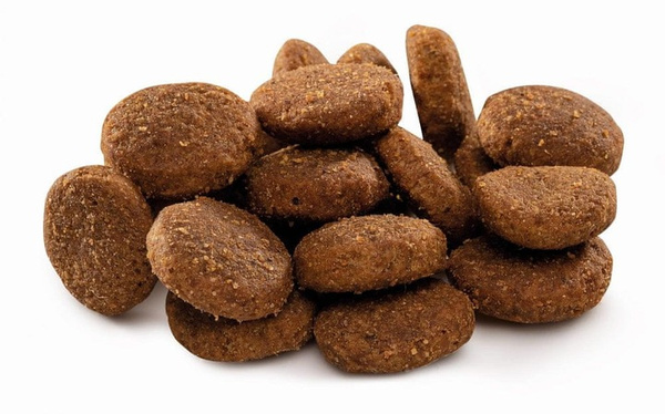 BRIT Premium By Nature Junior M 15kg karma dla młodych psów średnich ras