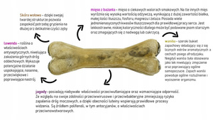 SYTA MICHA Kość do żucia dla psa na uspokojenie 13,5 cm