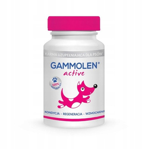 Gammolen Active 90 kapsułek – kondycja, regeneracja, wzmocnienie psów i kotów