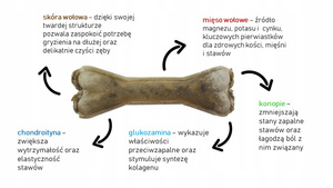 SYTA MICHA Kość do żucia dla psa na mocne stawy 13,5 CM