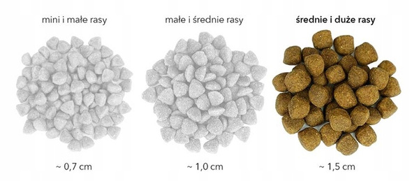 Euphoria Gluten Free Karma dla Psa z Jagnięciną (średnie i duże rasy) 2X12 kg – Sucha Karma Premium ZESTAW X2 