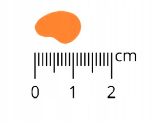 Pan Mięsko Cielęcina z indykiem XL 20 kg Karma sucha dla psa 