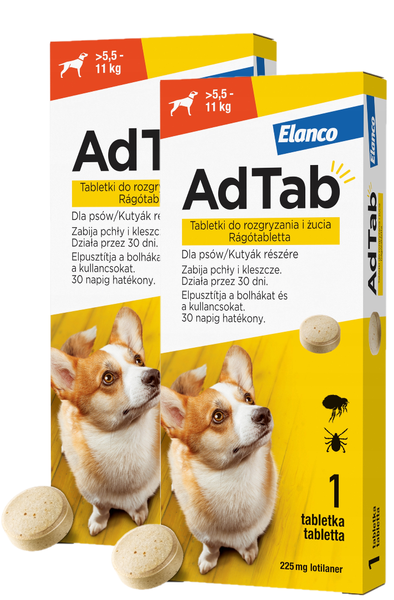 ELANCO AdTab 225mg tabletka na pchły i kleszcze dla psów >5,5 - 11 kg ZESTAW X2