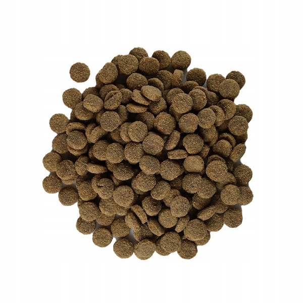 Happy Dog Sensible Mini Neuseeland 10 kg – lekkostrawna sucha karma z jagnięciną dla małych psów