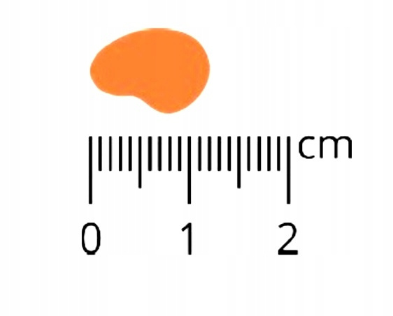 Pan Mięsko Cielęcina z indykiem XL 20 kg Karma sucha dla psa 
