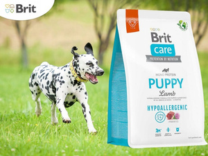 BRIT CARE HYPOALLERGENIC PUPPY LAMB 3kg