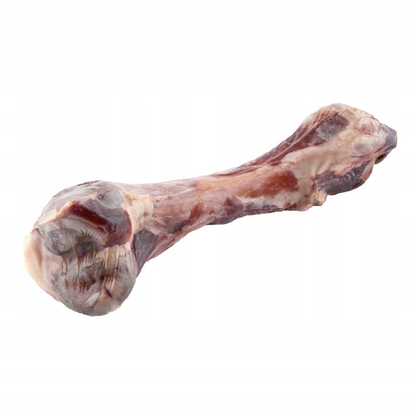 Maced 100% Natura Kość z Szynki Włoskiej 1 szt.
