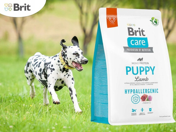 BRIT CARE HYPOALLERGENIC PUPPY LAMB 3kg