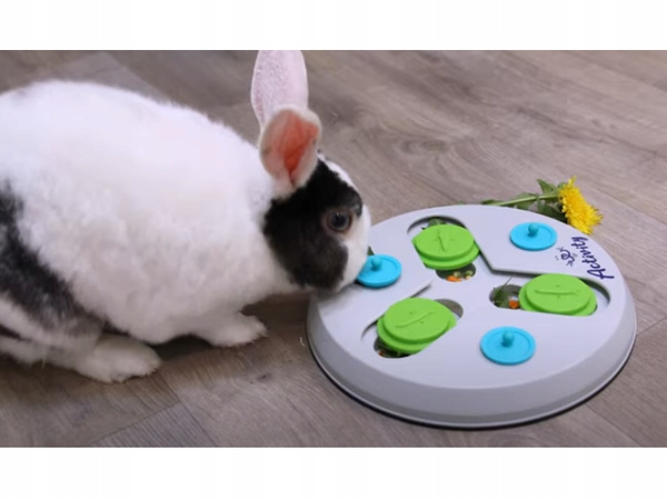 TRIXIE Flip Board Slide & Fun interaktywna gra logiczna dla królika i gryzoni