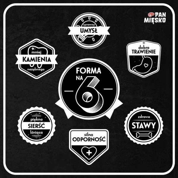 Pan Mięsko Indyk z gęsią S 5 kg Karma sucha dla kota