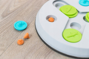 TRIXIE Flip Board Slide & Fun interaktywna gra logiczna dla królika i gryzoni