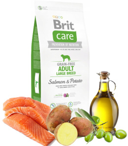 BRIT GRAIN-FREE ADULT LARGE BREED SALMON 12KG