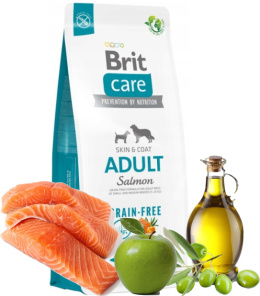 BRIT GRAIN-FREE ADULT SALMON 12KG