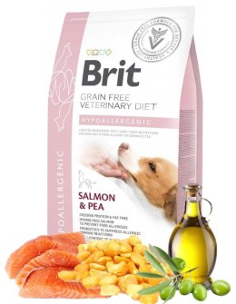 Brit Veterinary Diets Dog Hypoallergenic Salmno&Pea 2kg Grain Free