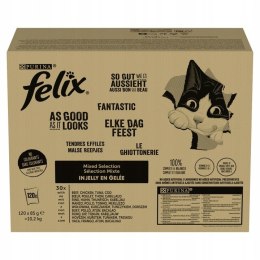 FELIX Fantastic In Jelly Mix Smaków 120x 85g