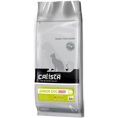 Calista Junior z Wołowiną 12 kg